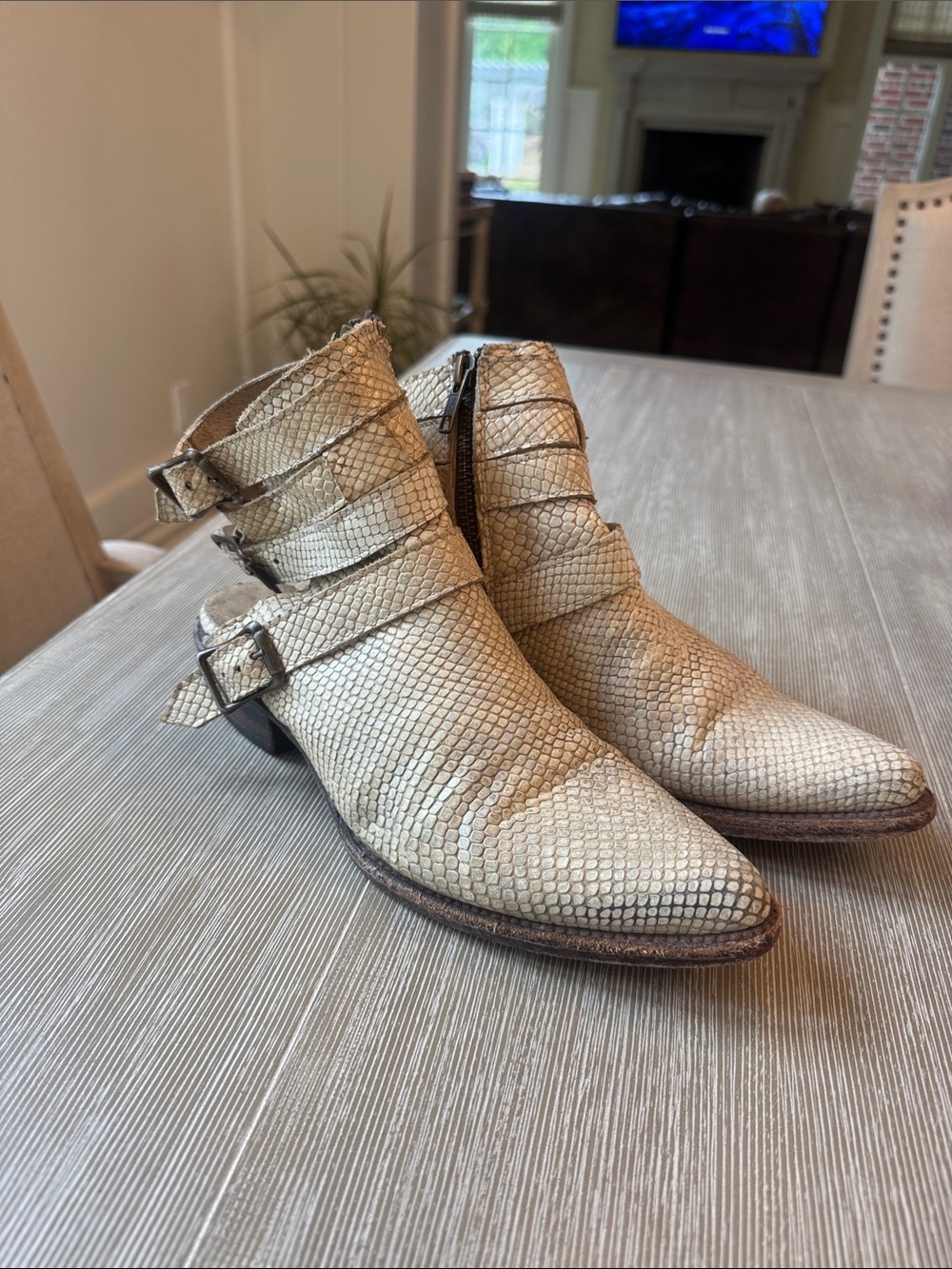 Freebird by Steven Cream Snake-Embossed Pointed Ankle Booties Lithm